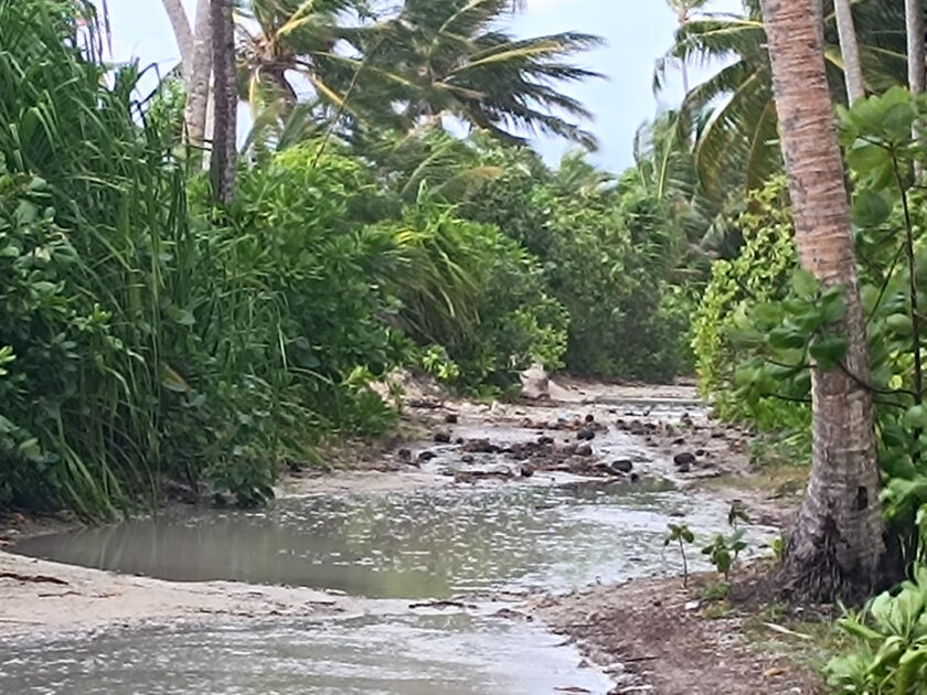 ބުރާސްފަތި މެންދުރުގެ ވަގުތެއްގައި ވައިގަދަވެ ކަނޑުގަދަވުމުގެ ސަބަބުންންއަށް މީދުއަށް ބޮޑަށް އުދައެރި ބުރާސްފަތި މެންދުރުގެ ވަގުތެއްގައި ވައިގަދަވެ ކަނޑުގަދަވުމުގެ ސަބަބުންންއަށް މީދުއަށް ބޮޑަށް އުދައެރި
