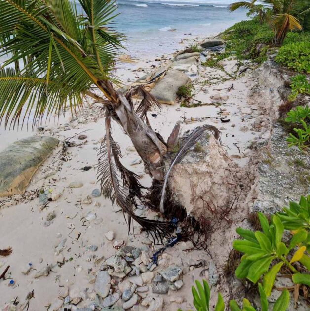 ބުރާސްފަތި މެންދުރުގެ ވަގުތެއްގައި ވައިގަދަވެ ކަނޑުގަދަވުމުގެ ސަބަބުންންއަށް މީދުއަށް ބޮޑަށް އުދައަރައި ކަޅިބިތް ފަރާތު ގޮޑު ދޮށުން ބޮޑުބައެއް ވަނީ ގިރައިގެން ގޮސްފައި ބުރާސްފަތި މެންދުރުގެ ވަގުތެއްގައި ވައިގަދަވެ ކަނޑުގަދަވުމުގެ ސަބަބުންންއަށް މީދުއަށް ބޮޑަށް އުދައަރައި ކަޅިބިތް ފަރާތު ގޮޑު ދޮށުން ބޮޑުބައެއް ވަނީ ގިރައިގެން ގޮސްފައި