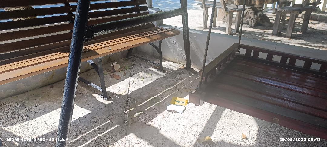 ރާފަޅާ ފިނިމައިޒާން ކުނިކޮށް ހަޑިކުރުމުގެ މައްސަލަ ރާފަޅާ ފިނިމައިޒާން ކުނިކޮށް ހަޑިކުރުމުގެ މައްސަލަ