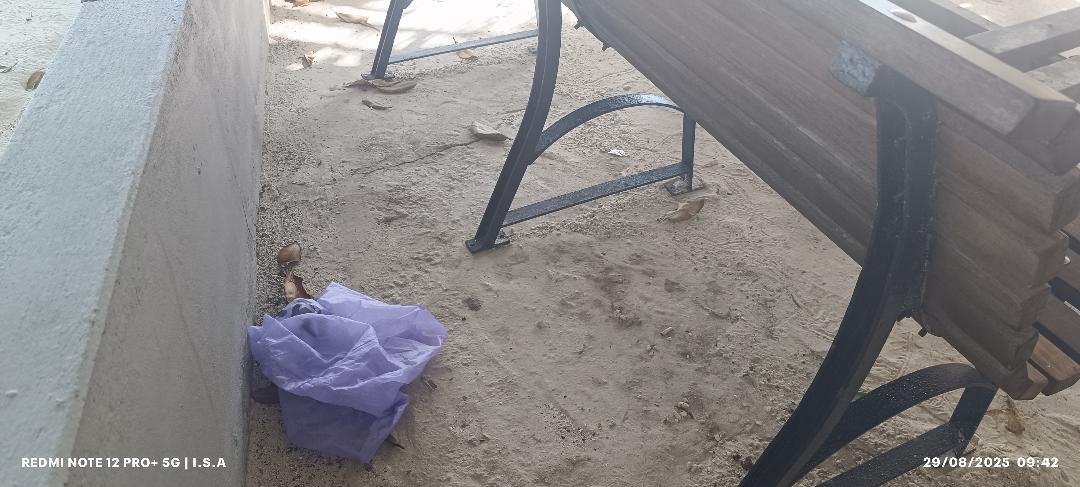 ރާފަޅާ ފިނިމައިޒާން ކުނިކޮށް ހަޑިކުރުމުގެ މައްސަލަ ރާފަޅާ ފިނިމައިޒާން ކުނިކޮށް ހަޑިކުރުމުގެ މައްސަލަ