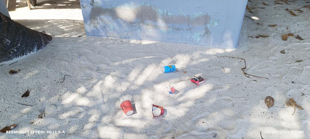 ރާފަޅާ ފިނިމައިޒާން ކުނިކޮށް ހަޑިކުރުމުގެ މައްސަލަ ރާފަޅާ ފިނިމައިޒާން ކުނިކޮށް ހަޑިކުރުމުގެ މައްސަލަ