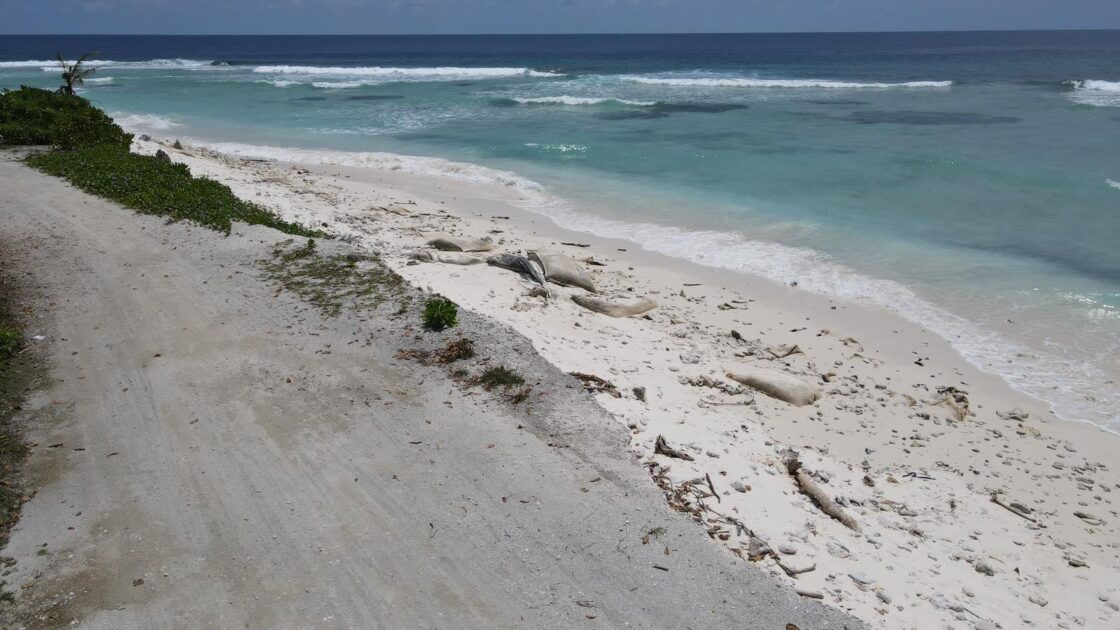 މި މައްސަލައަށް އަވަސް އަދި ހަރުދަނާ ފިޔަވަޅުތަކެއް އަޅައި، ދެމެހެއްޓެނިވި ހައްލެއް ހޯދުމަކީ މީދޫ ރައްޔިތުންގެ އެދުމެކެވެ. 06-09--2025