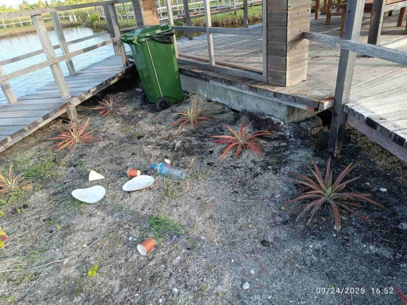 އެކޯގާޑަން ފަރާތުން ވަނީ ތަނުގެ ސާފުތާހިރުކަން ދެމެހެއްޓުމަށް އެންމެންގެ އެއްބާރުލުމަށް އެދިފައެވެ.