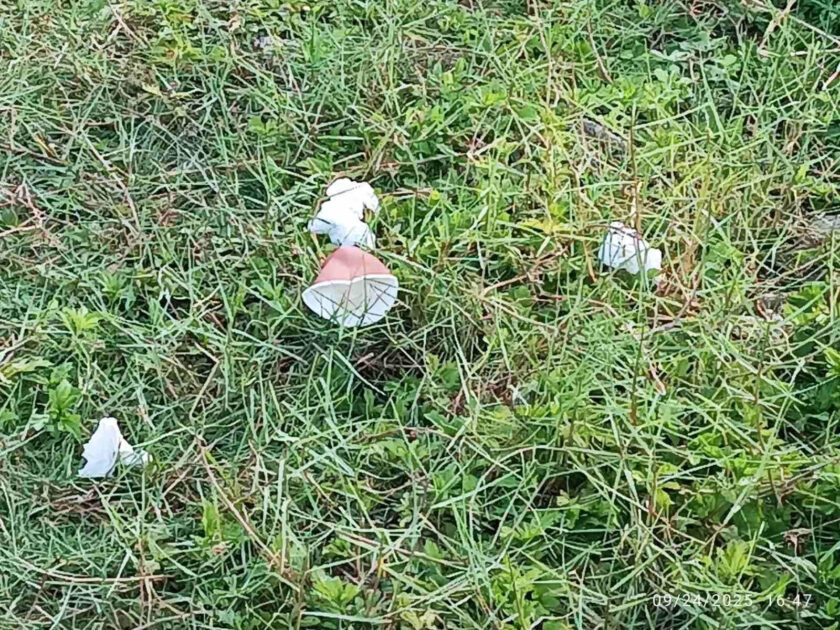 އެކޯގާޑަން ފަރާތުން ވަނީ ތަނުގެ ސާފުތާހިރުކަން ދެމެހެއްޓުމަށް އެންމެންގެ އެއްބާރުލުމަށް އެދިފައެވެ.