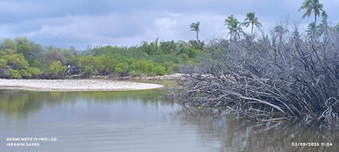 ހުޅުދޫ މާފިށި ކިޅީގެ ޤުދުރަތީ ނިޒާމަށް ކުރިމަތިވެފައިވާ ނުރައްކަލާމެދު ފުންކޮށް ވިސްނަންޖެހިފައި