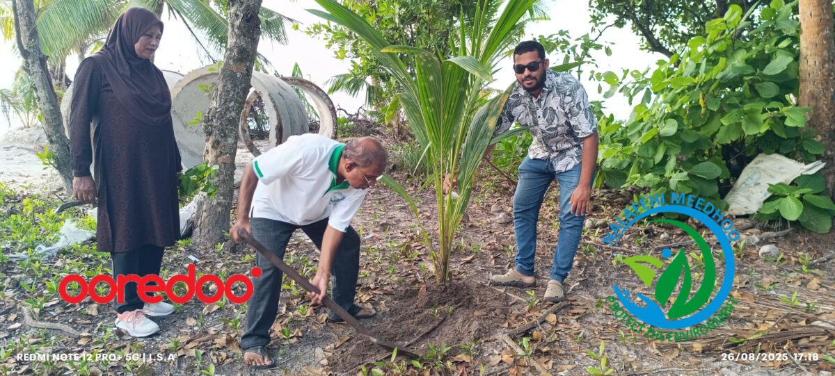 އުރީދޫ މޯލްޑިވްސް އާއި ސ. މީދޫގެ ނަލަފެހި ޖަމްއިއްޔާ ގުޅިގެން، ކުރިއަށް ގެންދެވުނު ގަސްއިންދުމުގެ ޚާއްސަ ޕްރޮގްރާމްގެ ތެރެއިން އުރީދޫ މޯލްޑިވްސް އާއި ސ. މީދޫގެ ނަލަފެހި ޖަމްއިއްޔާ ގުޅިގެން، ކުރިއަށް ގެންދެވުނު ގަސްއިންދުމުގެ ޚާއްސަ ޕްރޮގްރާމްގެ ތެރެއިން