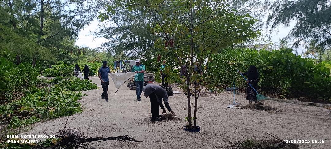 މީދޫ ޓޫރިޒަމް ޒޯނު ސަރަޙައްދު ސާފުކުރުމުގެ ޚާއްސަ ހަރަކާތެއް މިއަދު ހެނދު ކުރިއަށް ގެންގޮސްފި