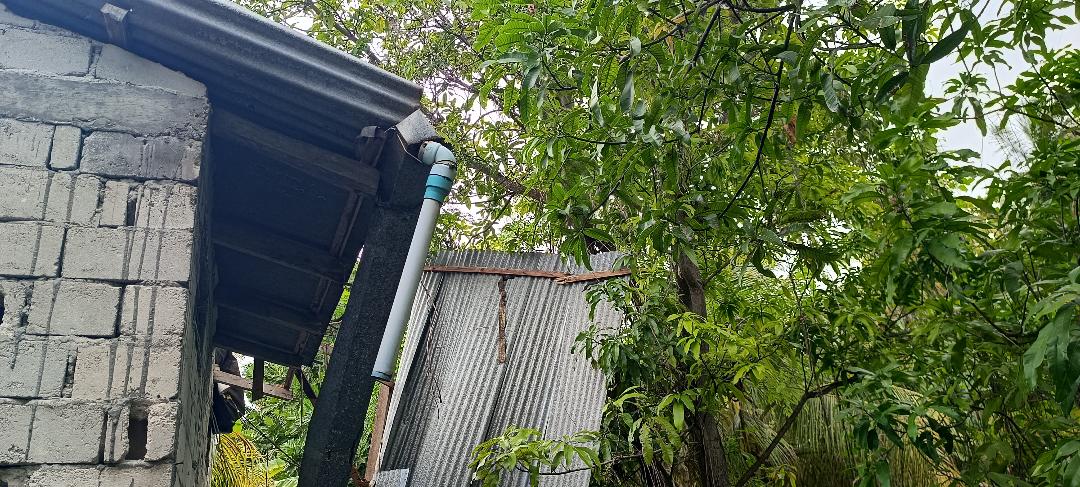 ގަދަވަޔާއެކު ފުރާޅު އެއްލާލި މީދޫ އުނިމާގެ