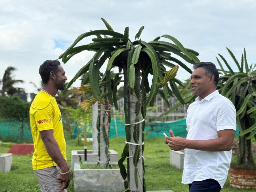 ކުރީގެ ނާއިބް ރައީސް ފައިސަލް ނަސީމު މީދޫ ޒުވާން ދަނޑުވެރިޔާގެ ޑްރެގަން ފުރުޓު ދަނޑަށް ކުރެއްވި ޒިޔާރަތުގެ ތެރެއިން