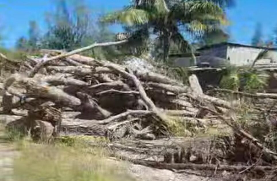 ބައެއް ފަރާތްތަކުން ސޯޝަލް މީޑިއާގައި ހިއްސާކޮށްފައިވާ މީދޫގެ ފޮޓޯއެއް