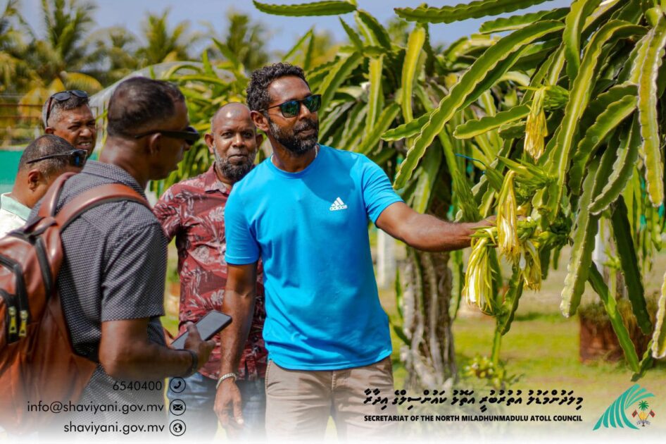 މިލަދުންމަޑުލު އުތުރުބުރީ ކައުންސިލްގެ އިދާރާގެ މުވައްޒަފުން މީދޫ ޒުވާން ދަނޑުވެރިޔާ ދަނޑު ބައްލަވާ ލައްވަނީ