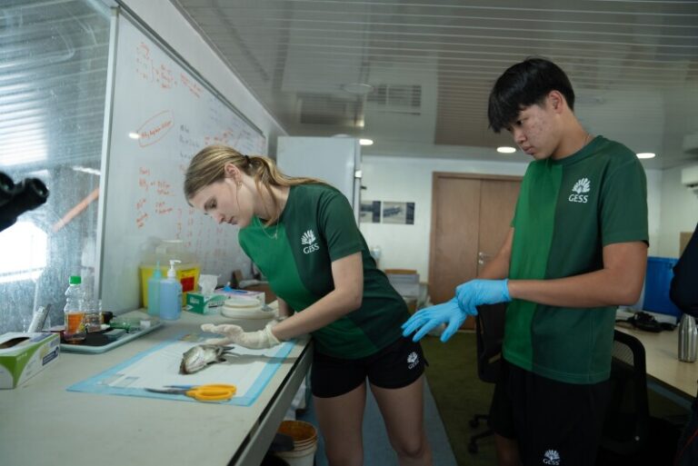 ޒިންމާތަކާ ދުރުކޮށްގެން ދަރިން ބޮޑުކުރުމުގެ ނަތީޖާ