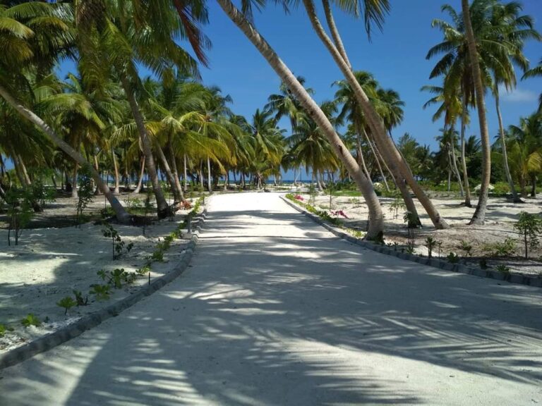 ހުޅުދޫ އާއި މީދޫ އައްޑޫ ސިޓީން ވަކިކޮށް، ވަކި ކައުންސިލްތައް އުފައްދަން ރައީސް ނިންމަވައިފި