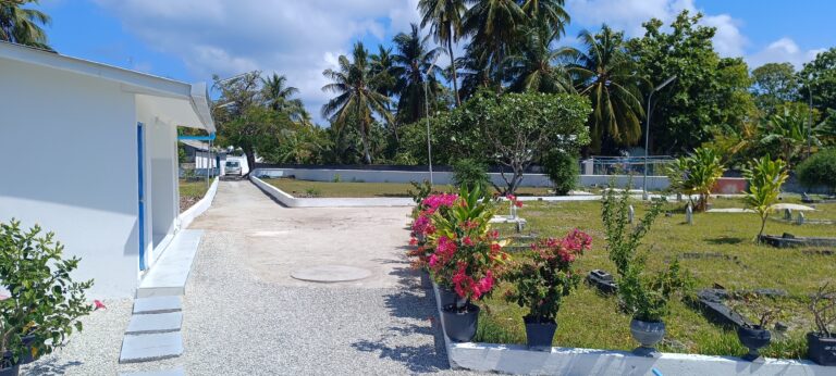 ހުޅުދޫ ގަބުރުސްތާނު މިސްކިތުގެ ވޯކްވޭގައި ހުރި ހިޔާދޭ ބޮޑުގަސް ކަނޑާލުން