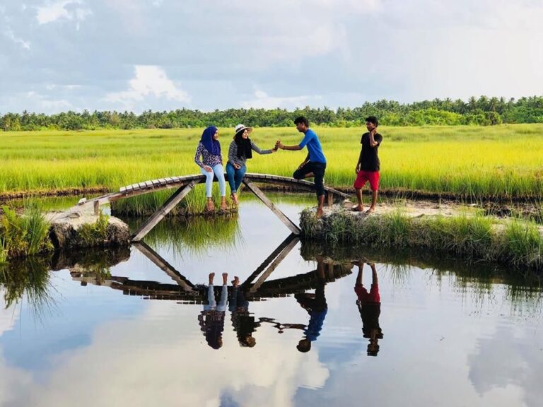 ހުޅުދޫ-މީދޫގެ މަތިކިޅި މަރާމާތުކުރުމުގެ ފޭސް 2 ގެ ބީލަން ހުށަހެޅުމުގެ ހުޅުވާލައިފި