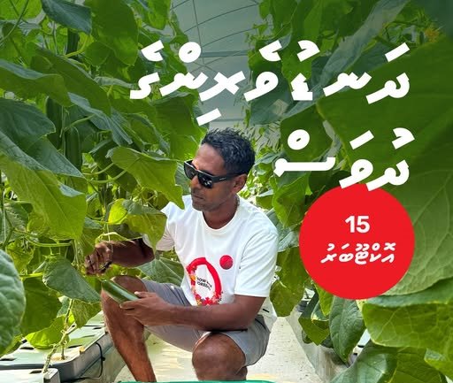 ދަނޑުވެރިކަމުގެ ދުވަސް ފާހަގަކުރުމަށް މީދޫގައި ޚާއްޞަ ރަސްމިއްޔާތެއް ބާއްވައިފި