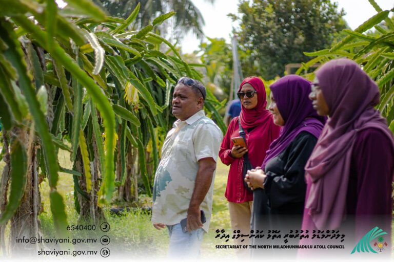 ރަށުގެ ކަންކަން ހިންގަން ތިބި އިސް ފަރާތްތަކަކީ ކޮންބައެއްކަން ބެލުން މުހިންމެއް ނޫން- މުހިންމީ ރަށުގެ ކުރިއެރުމަށް އެންމެން އެއްބާރުލުން ދިނުން