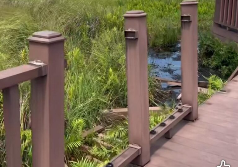 ބަންޑާރަ ކިޅި ބޯޑްވޯކަށް ބޮޑެތި ގެއްލުންތަކެއް ދީފި